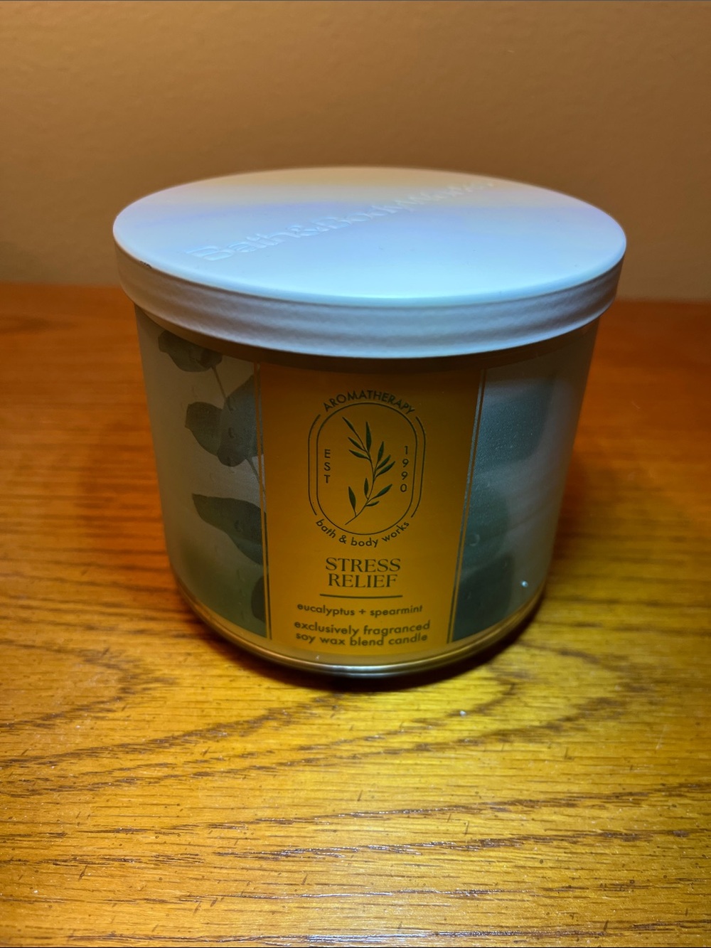 Bath & Body Works Stress Relief Eucalyptus Spearmint Candle